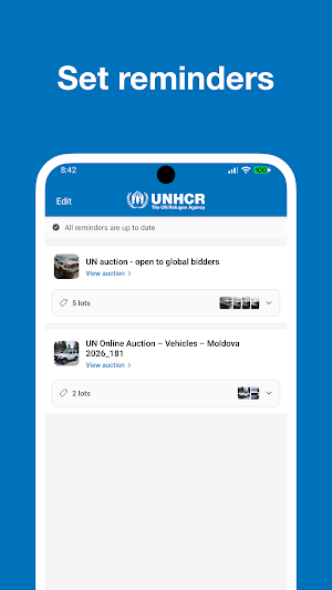 UNGDS Online Sales Screenshot 2