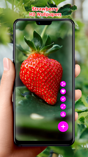 Strawberry HD Wallpapers Screenshot 0
