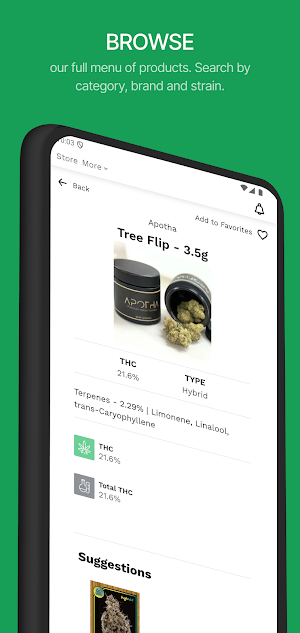 Green Dayz Screenshot 3