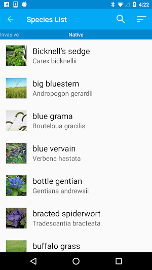 Iowa Plants Pull it or Keep it Screenshot 2