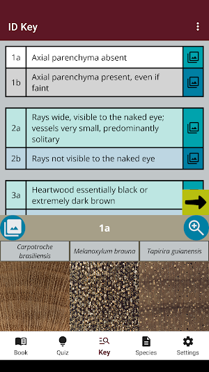 WhatWood? Bahia Ed. Screenshot 3