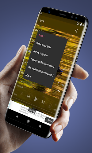 Sounds and Bells of Ducks Screenshot 2