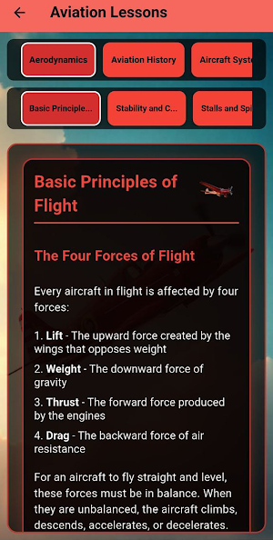 Aviator's Game | Aviation Screenshot 1