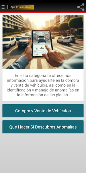 Consulta Vehicular por Placa Screenshot 2