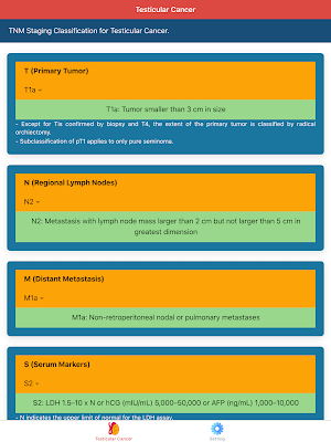 Testicular Cancer Staging: Urology Oncology Screenshot 3