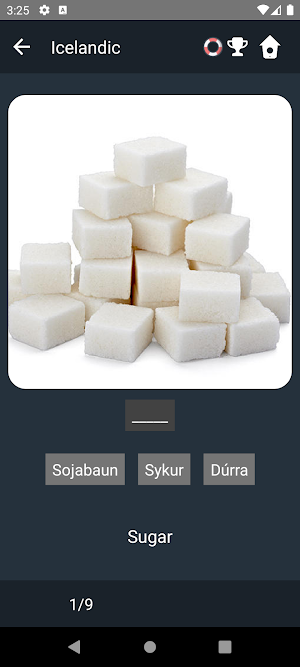 Icelandic Language Tests Screenshot 3