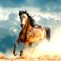 Running Horse Wallpaper