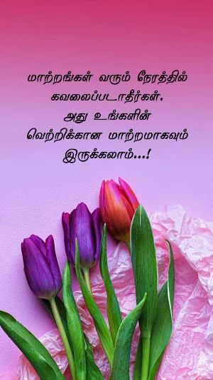 Rajapalayam FM screenshot 1