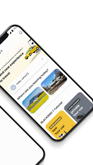 BLACKBIRD T Screenshot 1