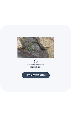 물고기 판별기 Screenshot 1