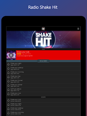 Radio Shake Hit Screenshot 2