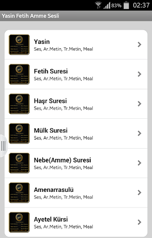 Yasin Fetih Mülk Amme Sesli Screenshot 1