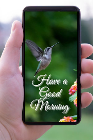 Good Morning Quotes with Pictures 2020 Screenshot 3