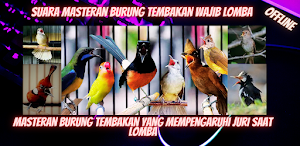 Masteran Burung Tembakan Screenshot 1
