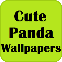 Cute Panda Wallpapers