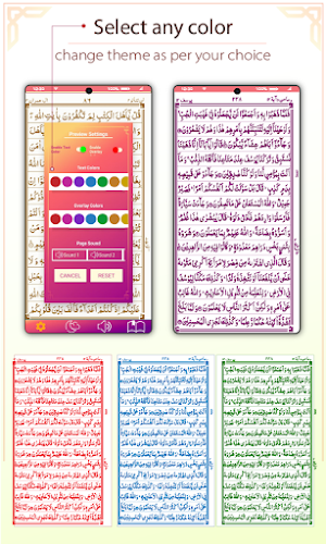 Koran Majeed: Hafizi Al Quran Screenshot 2