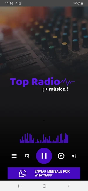 Top Radio Online Screenshot 1