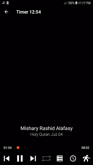 Holy Quran Juz 4 MP3 Screenshot 3