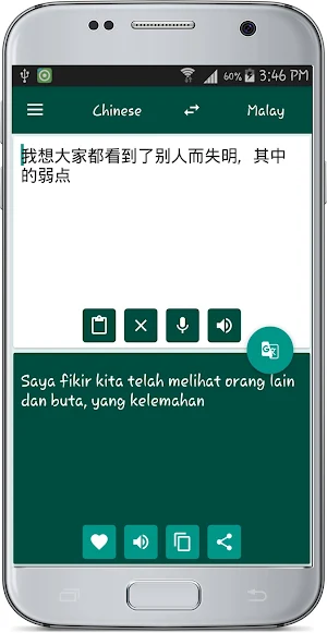 Malay Chinese Translate Screenshot 2