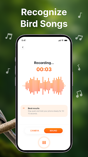 Bird Sound Identifier: Bird ID Screenshot 1