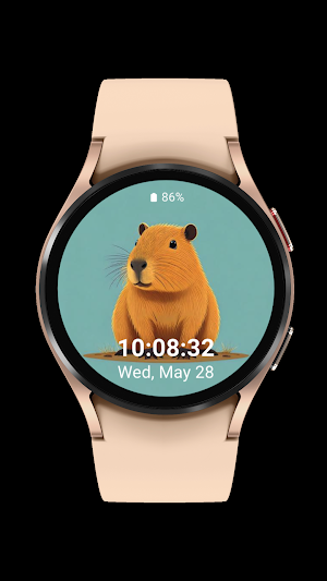 capybara cute_003 Screenshot 0