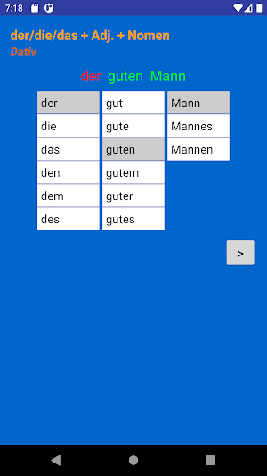 German Adjective Endings Screenshot 2