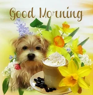 Good Morning Images Screenshot 0