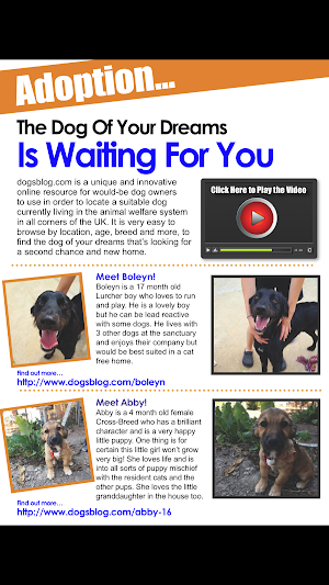 K9 Magazine Screenshot 1