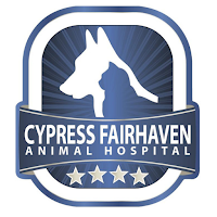 Cypress Fairhaven Vet