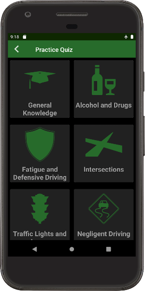 The Highway Code Zambia Screenshot 3