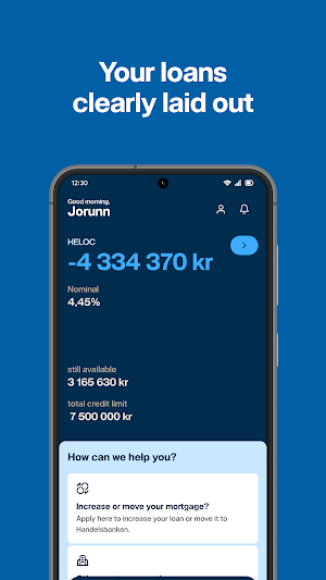Handelsbanken NO - Mobile Bank Screenshot 3