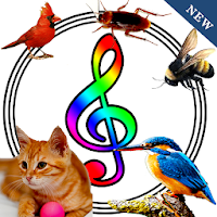 Natural Animal and Insect Sounds Ringtone
