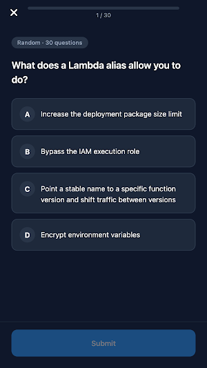 AWS Developer Associate Prep Screenshot 2