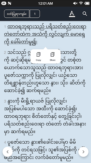 Bible Myanmar Screenshot 3
