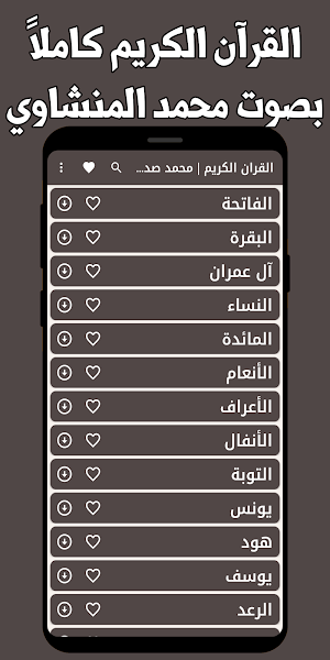 القران الكريم المنشاوي بدون نت Screenshot 0