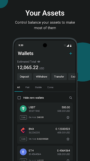 MaxifyFX Screenshot 2