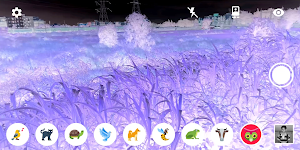 Animal Vision Simulator 🦄 Screenshot 3