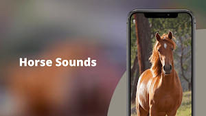 Horse Sounds Screenshot 0