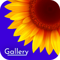 Gallery : Photo, Video & Album