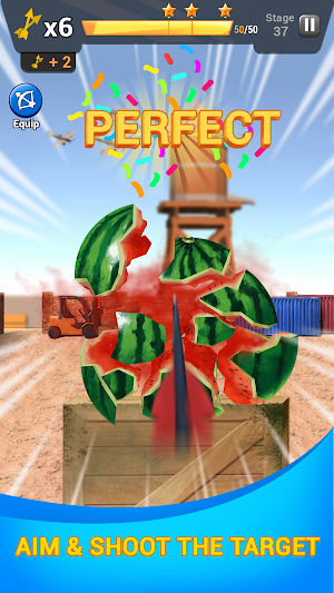 Archery Master Screenshot 1