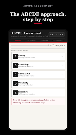 ABCDE Assessment Screenshot 1