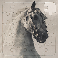 Rompecabezas de Caballos