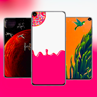 Punch Hole Walls Realme 6 Pro