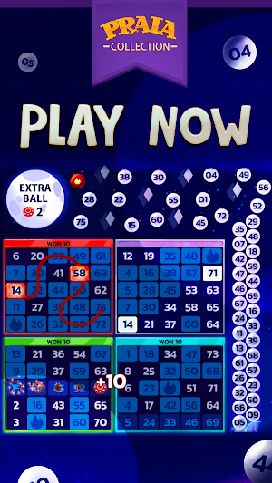 Video Bingo Malibu Screenshot 3