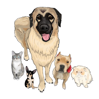 Dr Allys Animal Clinic PG