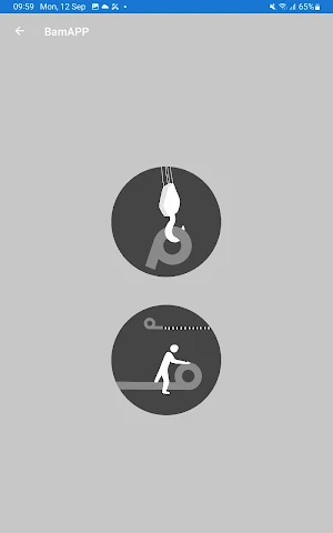BamAPP Screenshot 2
