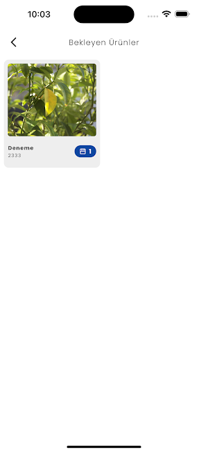 serTedarik Screenshot 2