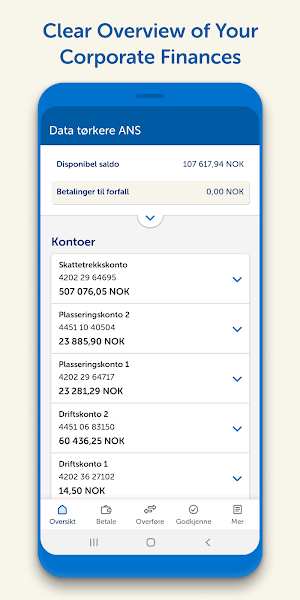 SpareBank 1 Mobilbank Bedrift Screenshot 2