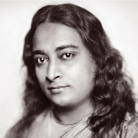 A Yogi