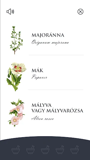 Sóstói gyógynövénykert Screenshot 1